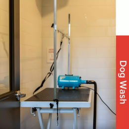 Your pup will feel paws-itively pampered at our on-site dog wash! 🫧 Instagram post from @rtdairies on July 14, 2024 11:11:22am